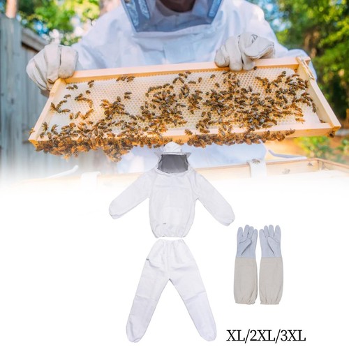 Anti-Bienen-Anzug